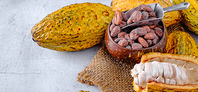 NORME AFRICAINE ARS 1000-1