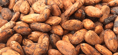 NORME AFRICAINE ARS 1000-2