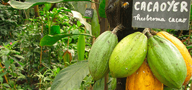 NORME AFRICAINE ARS 1000-3