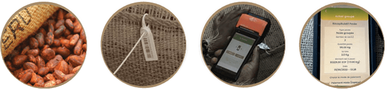 Système national de traçabilité : parcours du cacao