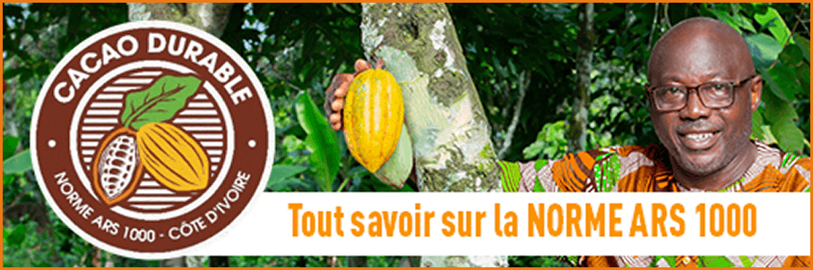 Bannière - Voir la norme ARS 1000